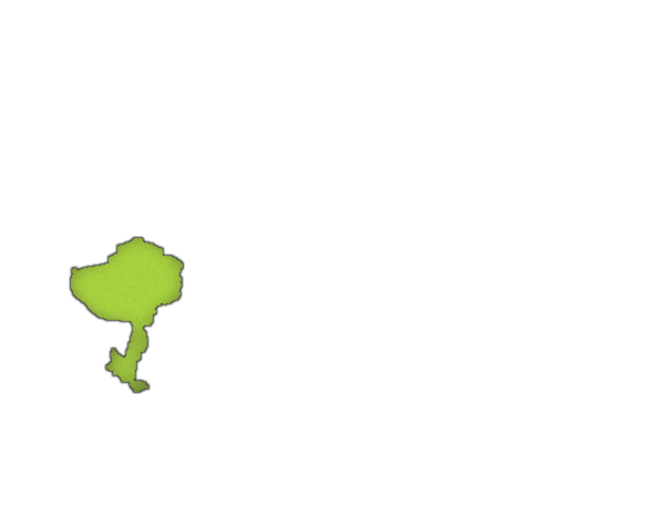 13.png