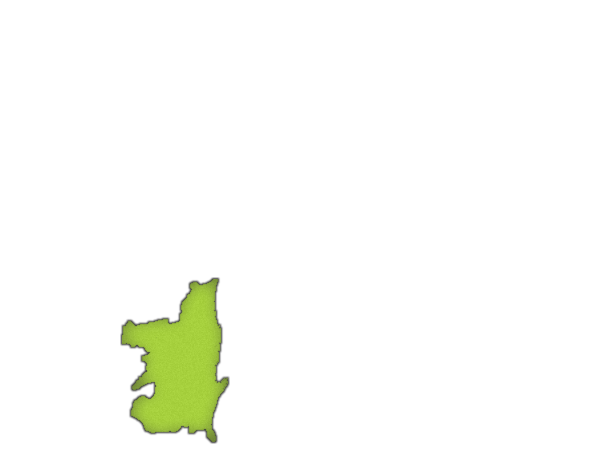 16.png