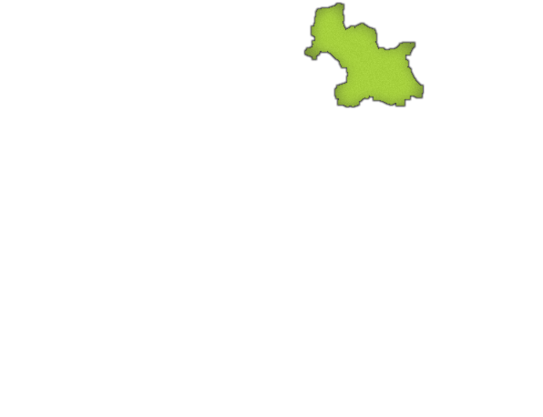 19.png