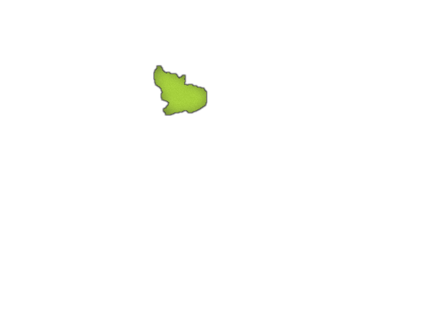 7.png