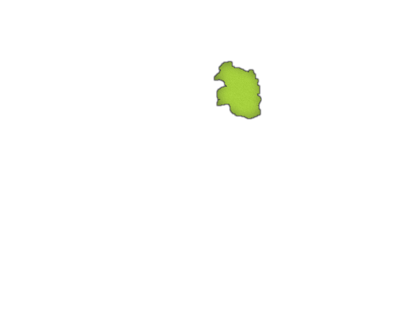 9.png